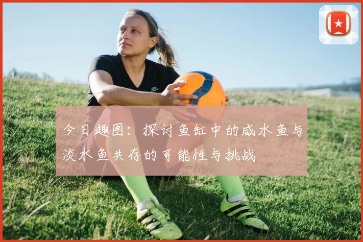 今日趣图：探讨鱼缸中的咸水鱼与淡水鱼共存的可能性与挑战