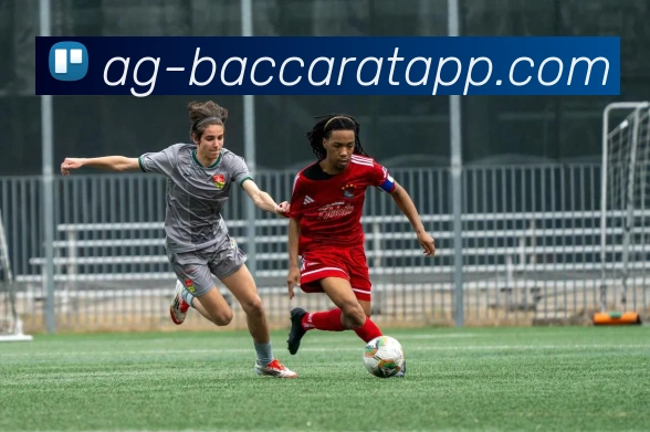 App Interface Preview