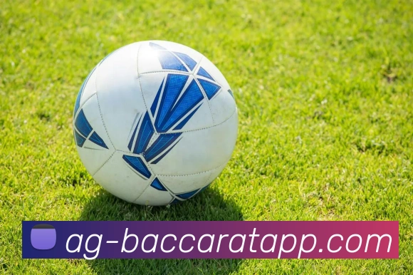 AG百家乐APP 封面图